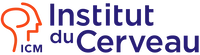 Logo ICM